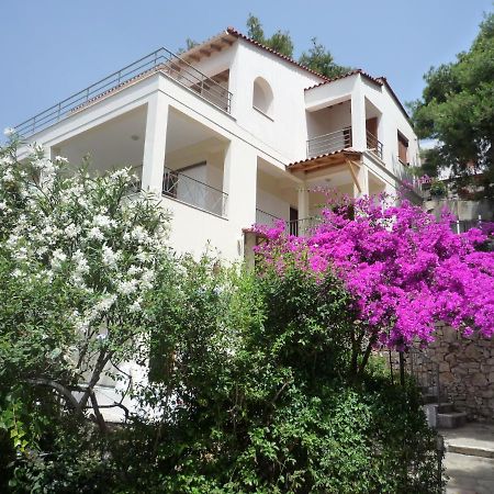Villa Iguana Votsi Votsi  Exterior photo